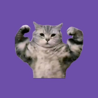 Telegram profile photo for Еда с ozon / wb переходник