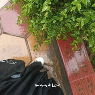 Telegram profile photo for ﴿فإِنِّي قَرِيبٌ﴾ 🌱.