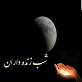 Telegram profile photo for شب زنده داران