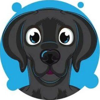 Telegram profile photo for Dog Trade