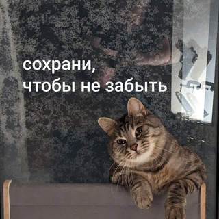 Telegram profile photo for сохрани, чтобы не забыть
