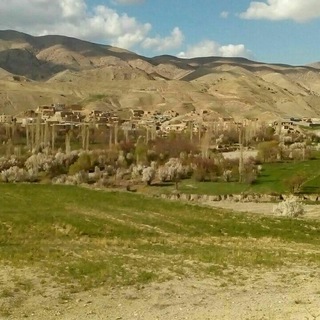 Telegram profile photo for 🌲👇هیلینا مه،ولات مه👇🌲
