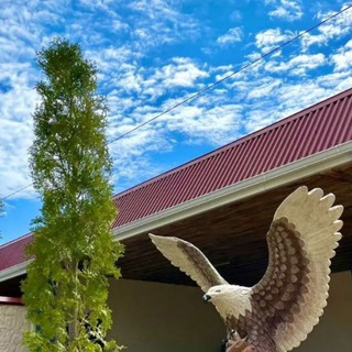 Telegram profile photo for База отдыха «Оазис🌴» Черкесск