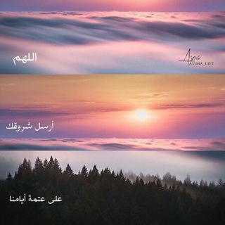 Telegram profile photo for الى دار الخلود💜🕊.