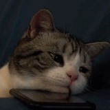 Telegram profile photo for txt.vide