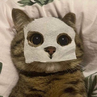 Telegram profile photo for Мир внутри нас