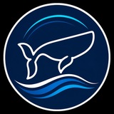 Telegram profile photo for Время blue economy