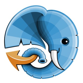 Telegram profile photo for Amp