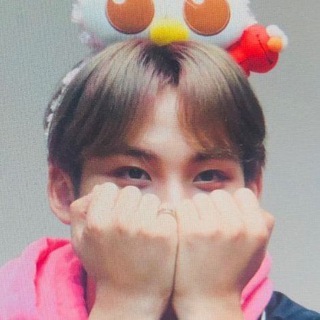 Telegram group profile photo for gyuldaengies 🐶💫
