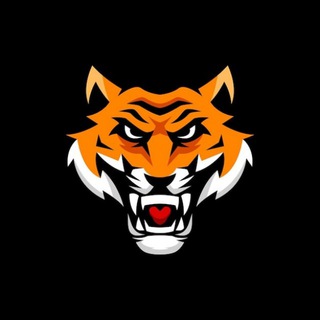 Telegram profile photo for Binomo Bitcoin Signals Tips