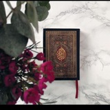 Telegram profile photo for تعليم القرآن الكريم🌸