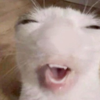 Telegram profile photo for Птичье Молоко