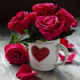 Telegram profile photo for ریحانا😍ادمین ویژه_ گسترده
