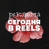 Telegram profile photo for pr сегодня в reels
