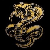 Telegram profile photo for ๐๐๐ข๐จ๐ง:โ๏ธ๐๏ผฃ๏ผฏ๏ผข๏ผฒ๏ผก๐โขโ๏ธ