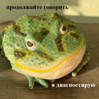 Telegram profile photo for кейл кудрявый