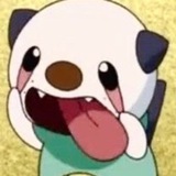 Telegram profile photo for ехидная деватька