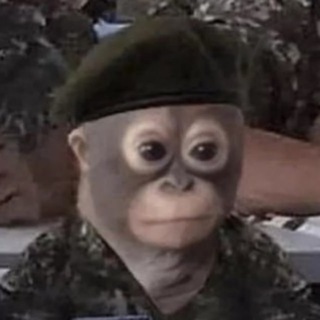 Telegram profile photo for Кошачья Бацыла