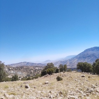 Telegram profile photo for ایل بیری(بدره ایلام)