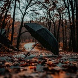 Telegram profile photo for خواطر 🍂