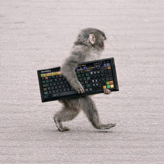 Telegram profile photo for ApeWire