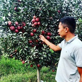 Telegram profile photo for Mevali kochatlar