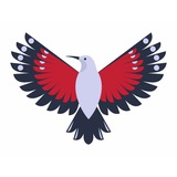 Telegram profile photo for Birdtours