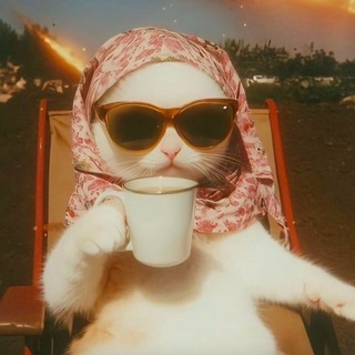 Telegram profile photo for люблю