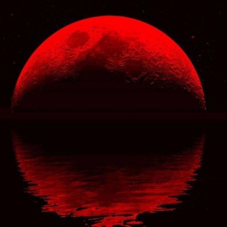 Telegram profile photo for Q | storm is upon us.πͺ