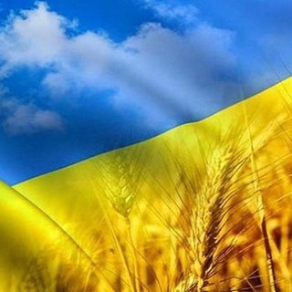 Telegram profile photo for Обмін петиціями🇺🇦