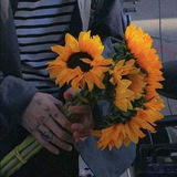 Telegram profile photo for Белка дурилка🌼