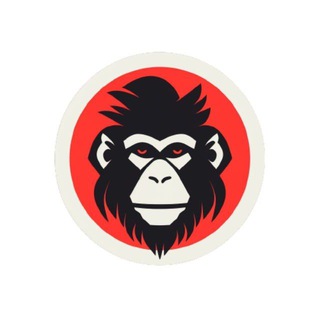 Telegram profile photo for Baboon Tools PreLaunch portal