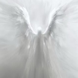 Telegram profile photo for Отзывы барона