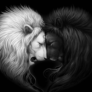 Telegram profile photo for Aslan channel