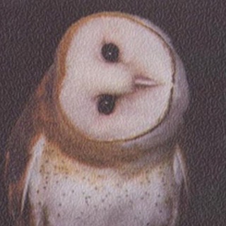 Telegram profile photo for Out of Step