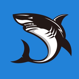 Telegram profile photo for 黑虎鲨出海联盟 官方频道