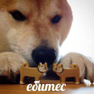 Telegram group profile photo for Паства