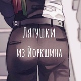 Telegram profile photo for Прошмандовки Йоркшина 😎