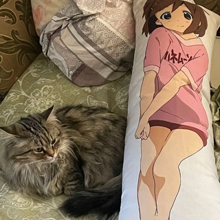 Telegram profile photo for tts