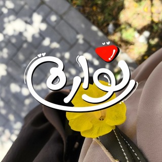 Telegram profile photo for نوَّارةٌ.