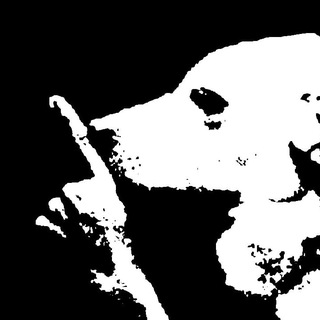 Telegram profile photo for dtrade