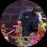 Telegram profile photo for Котики в телеге