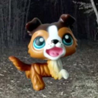 Telegram profile photo for FleaSplit