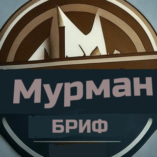 Telegram profile photo for BRIEF.Murman