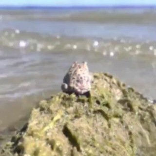 Telegram profile photo for детская смесь малютка нестле7