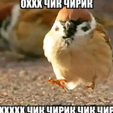 Telegram profile photo for Гениальное км соланикса