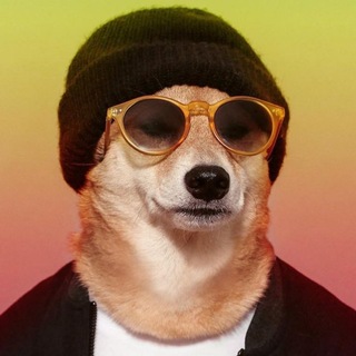 Telegram profile photo for Собаковый и всяковый | Dogs and other animals