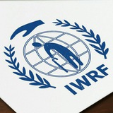 Telegram profile photo for 🌏🌱بنیاد بین الملل امداد جهان (IWRF)🌱🌏