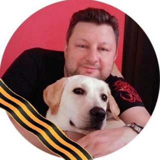 Telegram profile photo for Добрый Лабр