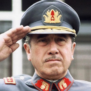 Telegram profile photo for Чиллийская Мудрость🇨🇱